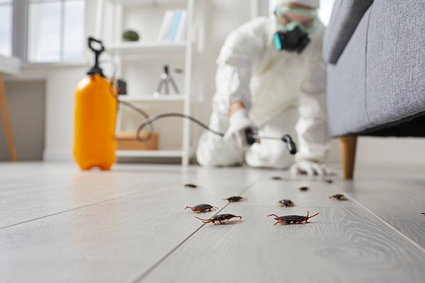 Post-Treatment Bed Bug Interceptor Monitoring in Crandall