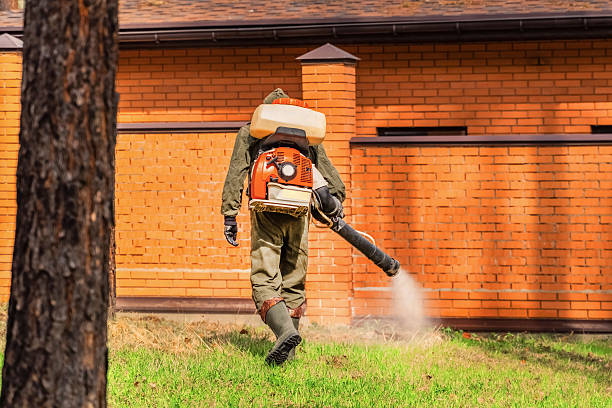 Bed Bug Clearance Verification and Documentation in Crandall